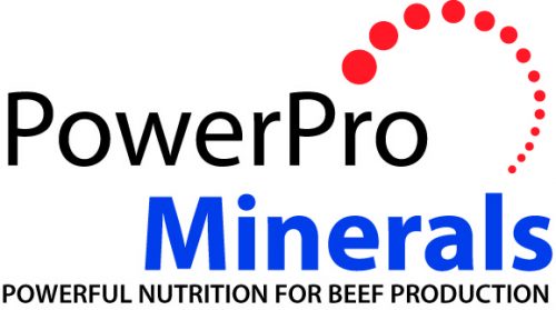 PowerPro Minerals Logo