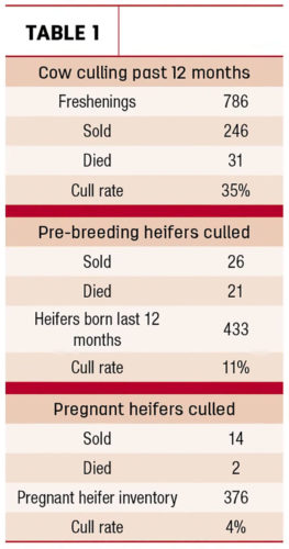 heifer inventory