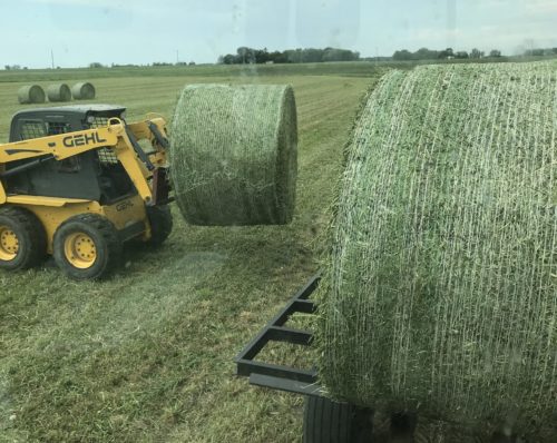 baled hay